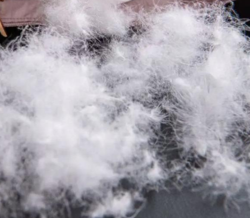 羽绒回收厂家地址在哪里？市场联系电话